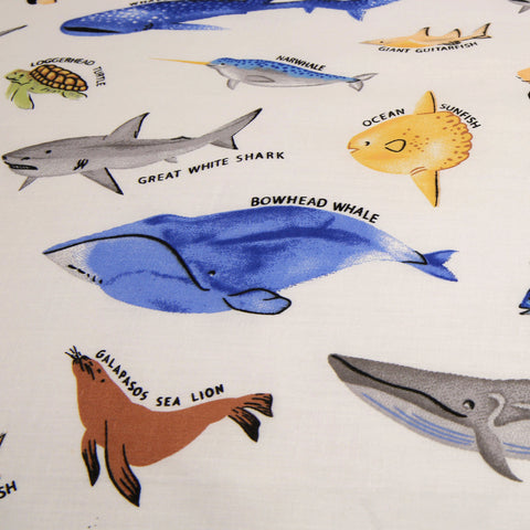 Fish Mulitcoloured Cotton Blend Toddlers Duvet Set (T01)
